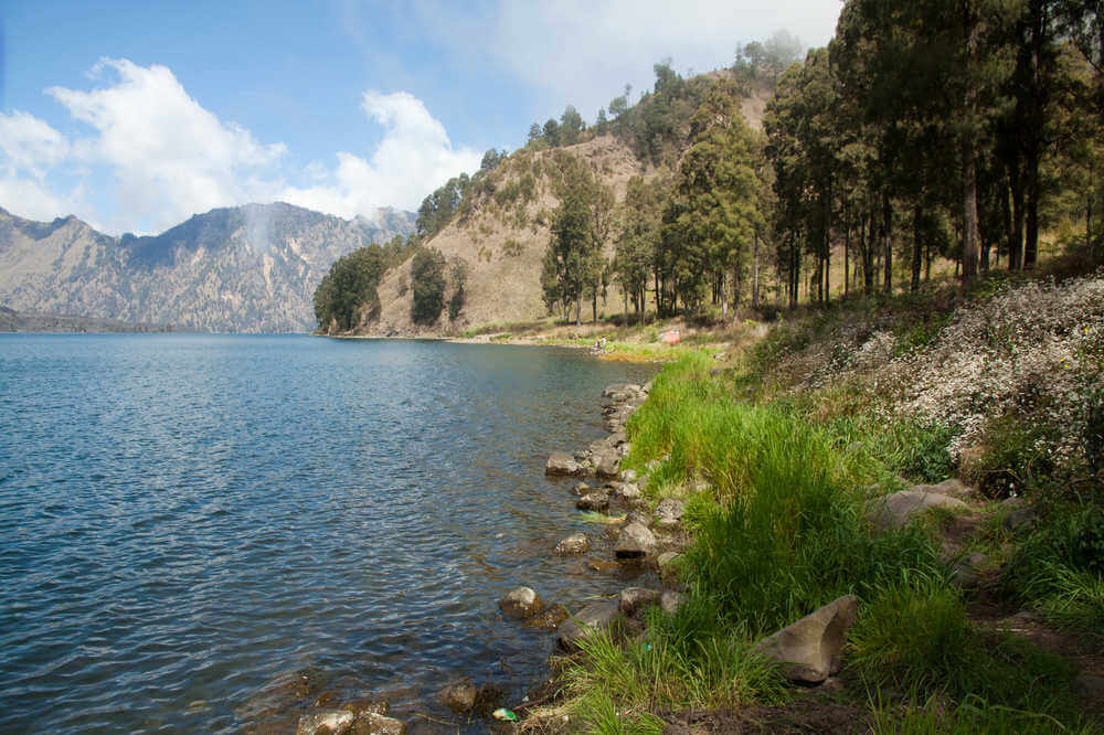 Rinjani
