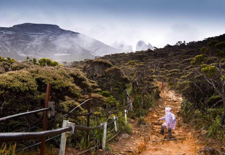 poncho's op mount Kinabalu