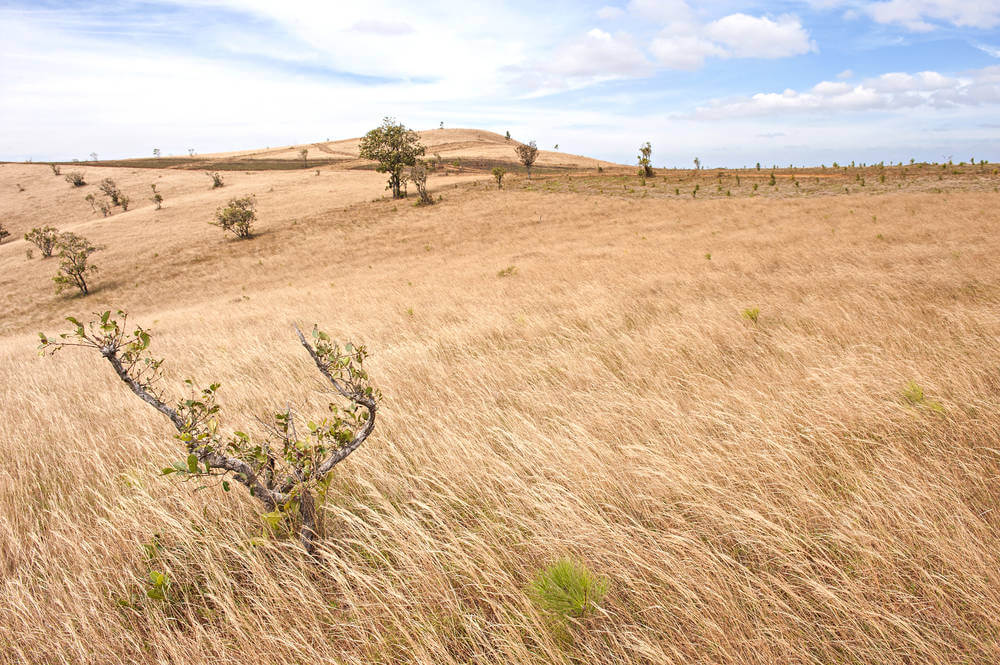 Mondulkiri