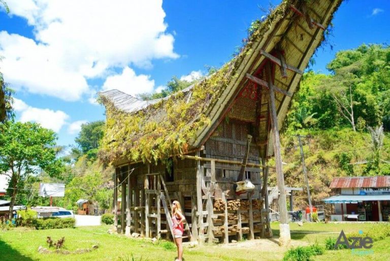 sulawesi