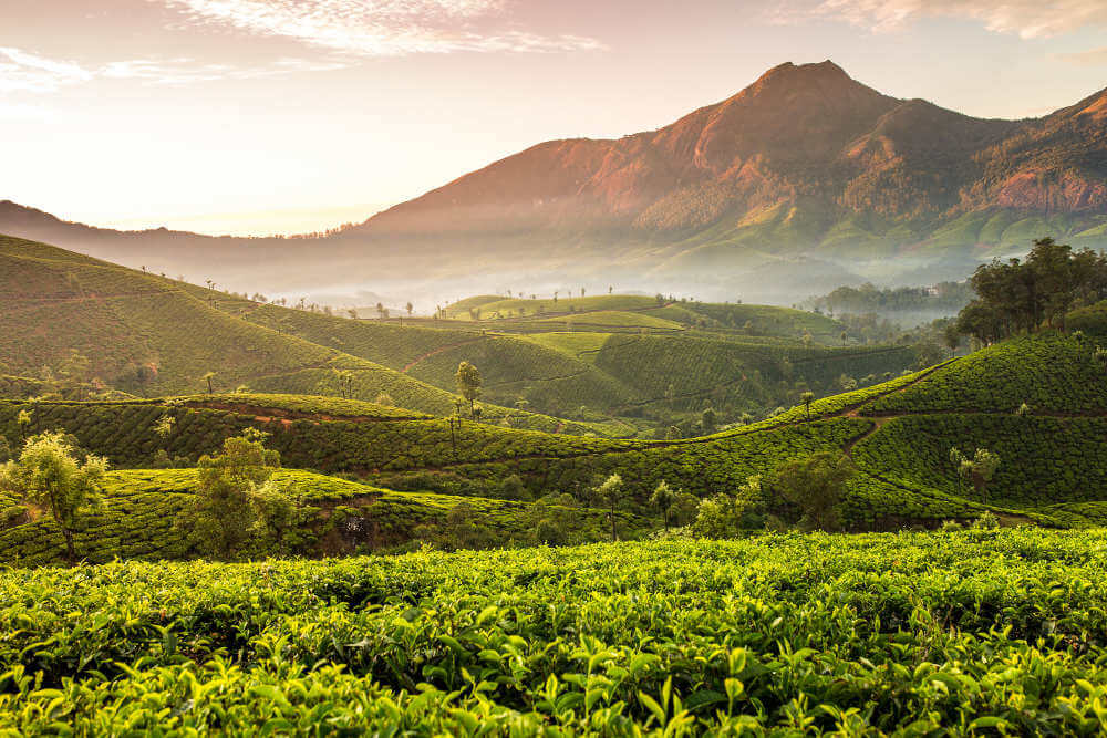 Kerala