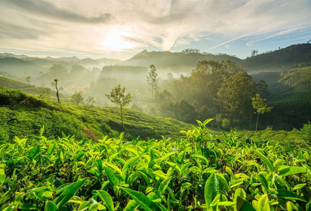 Ella Sri Lanka
