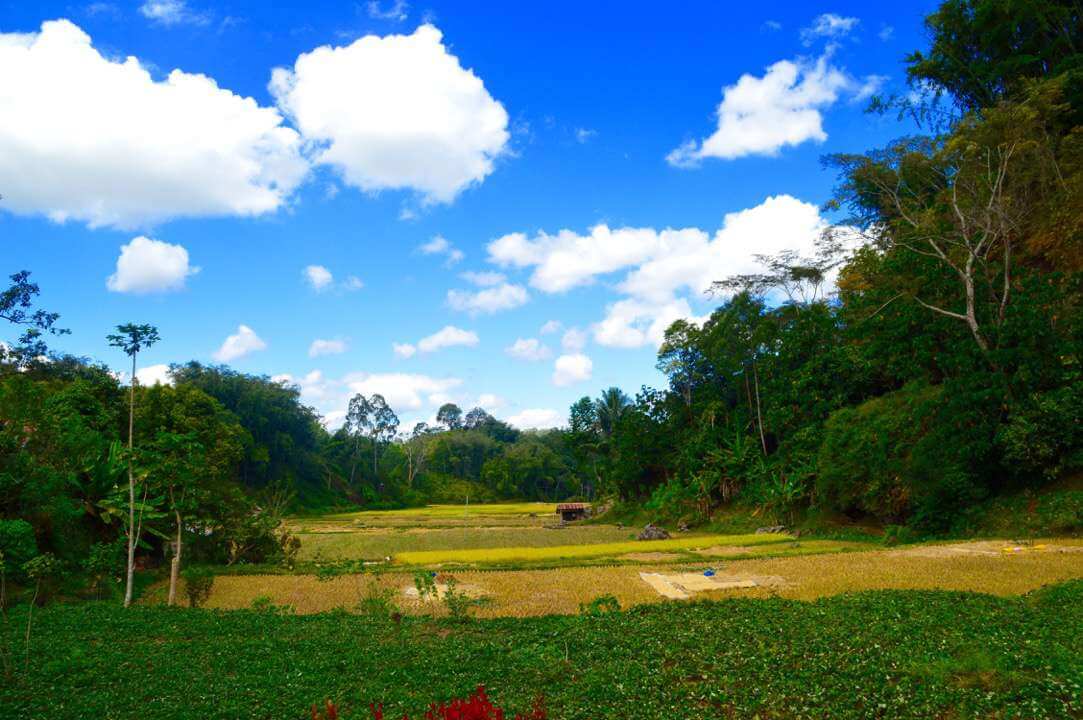 Tana Toraja