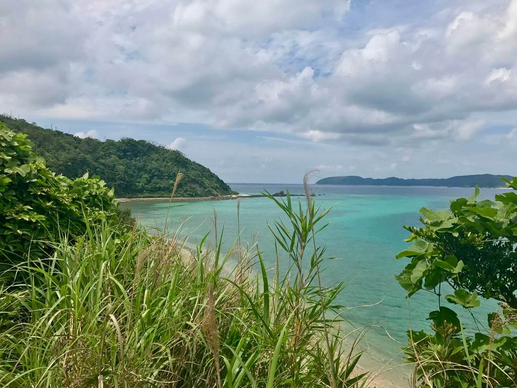 Amami-Oshima