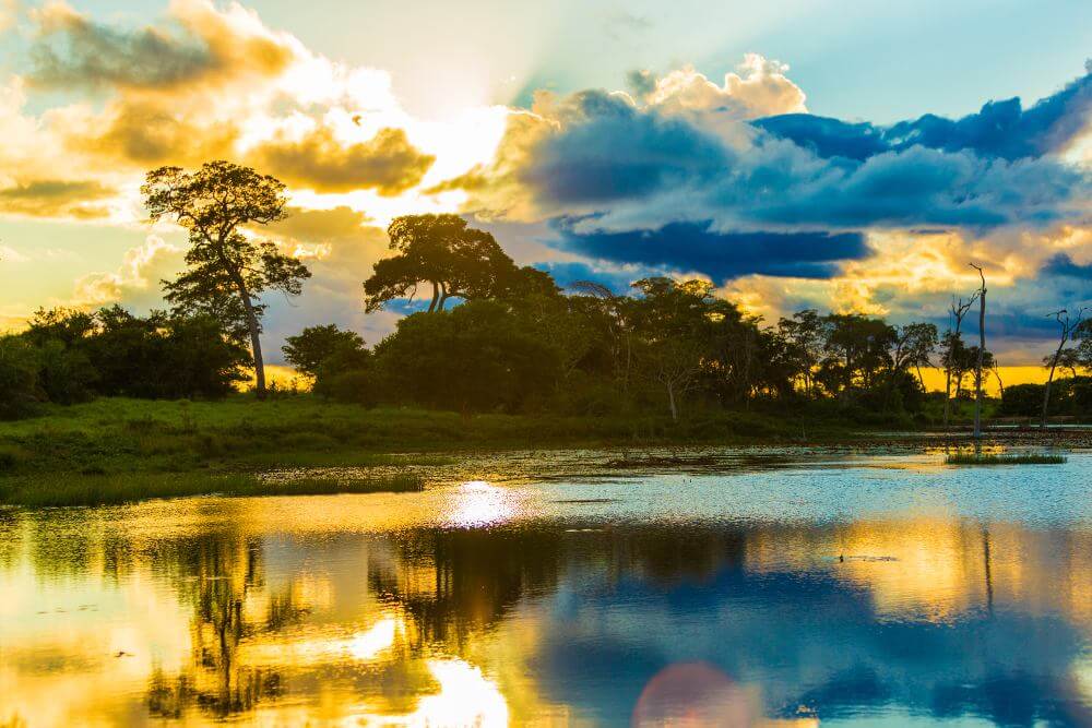 Pantanal,Brazilie