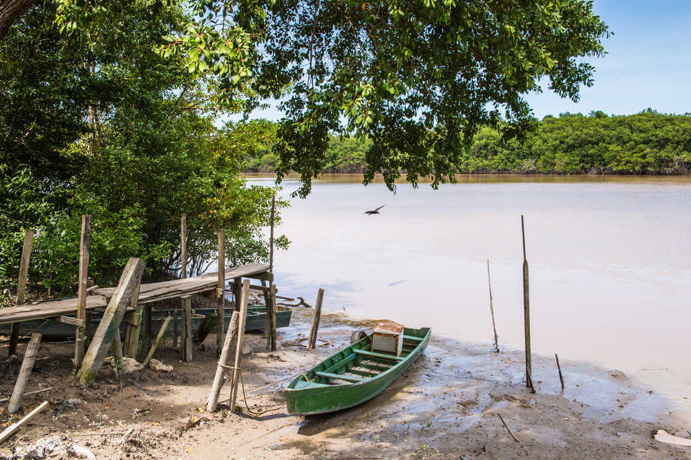 Suriname River, Suriname ST Suriname Rivier