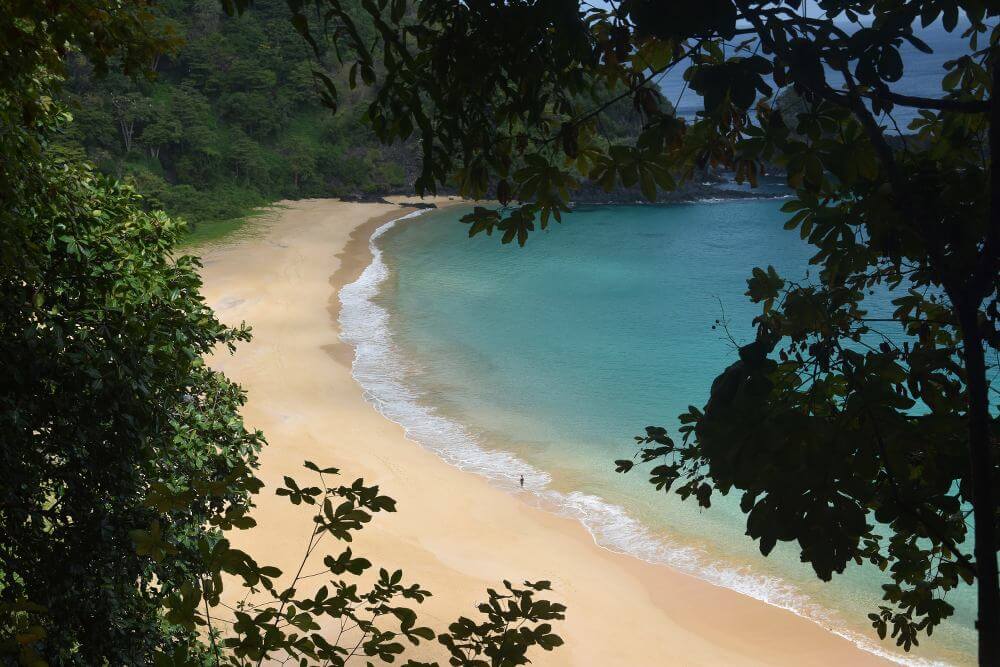 fernando de noronha