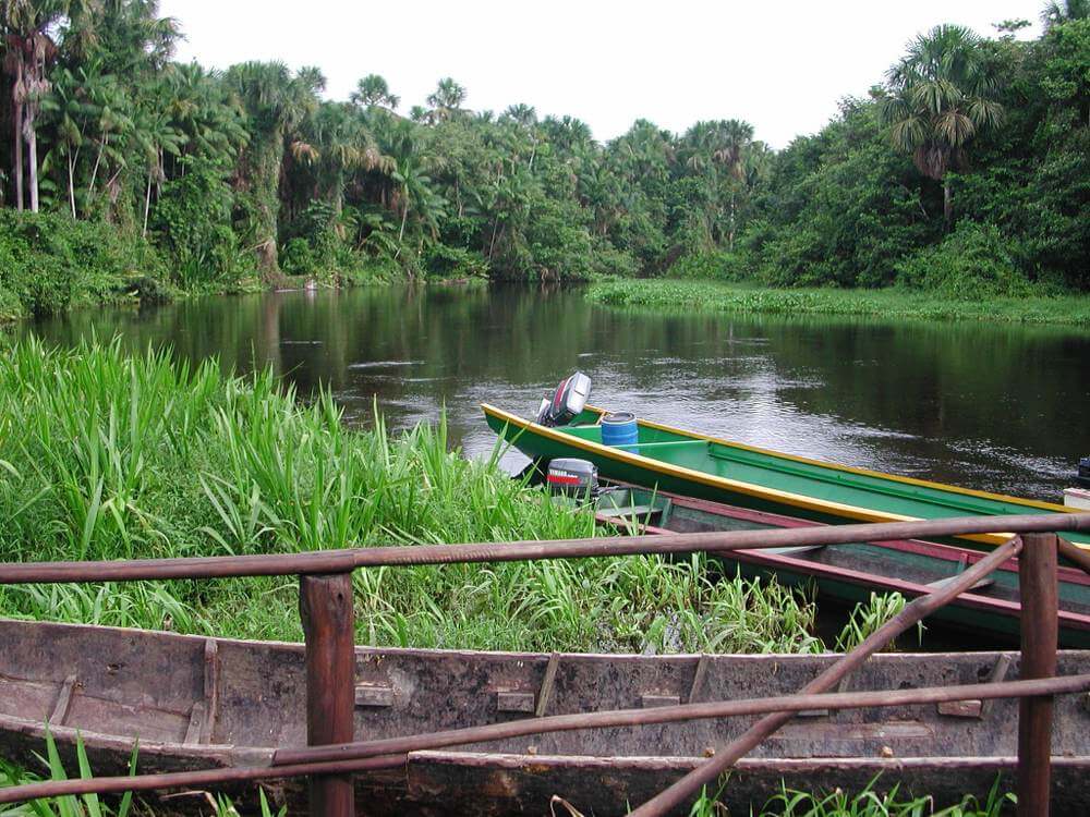 Orinoco Delta, Venezuela BST Orinoco Delta