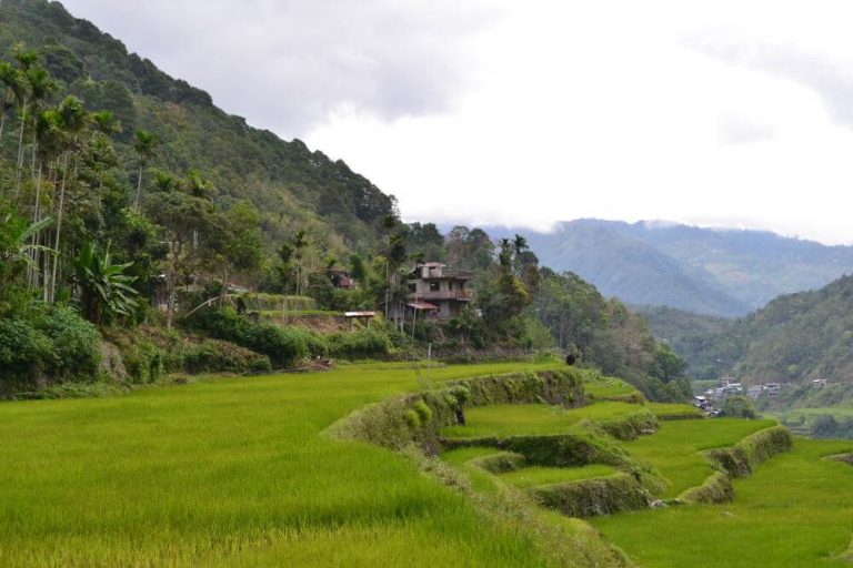Banaue