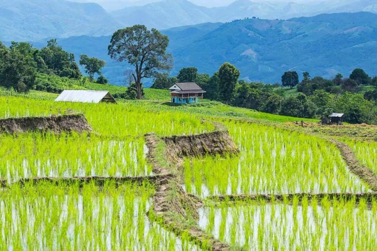 Mae Chaem Chiang Mai