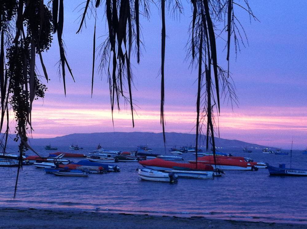 Paracas