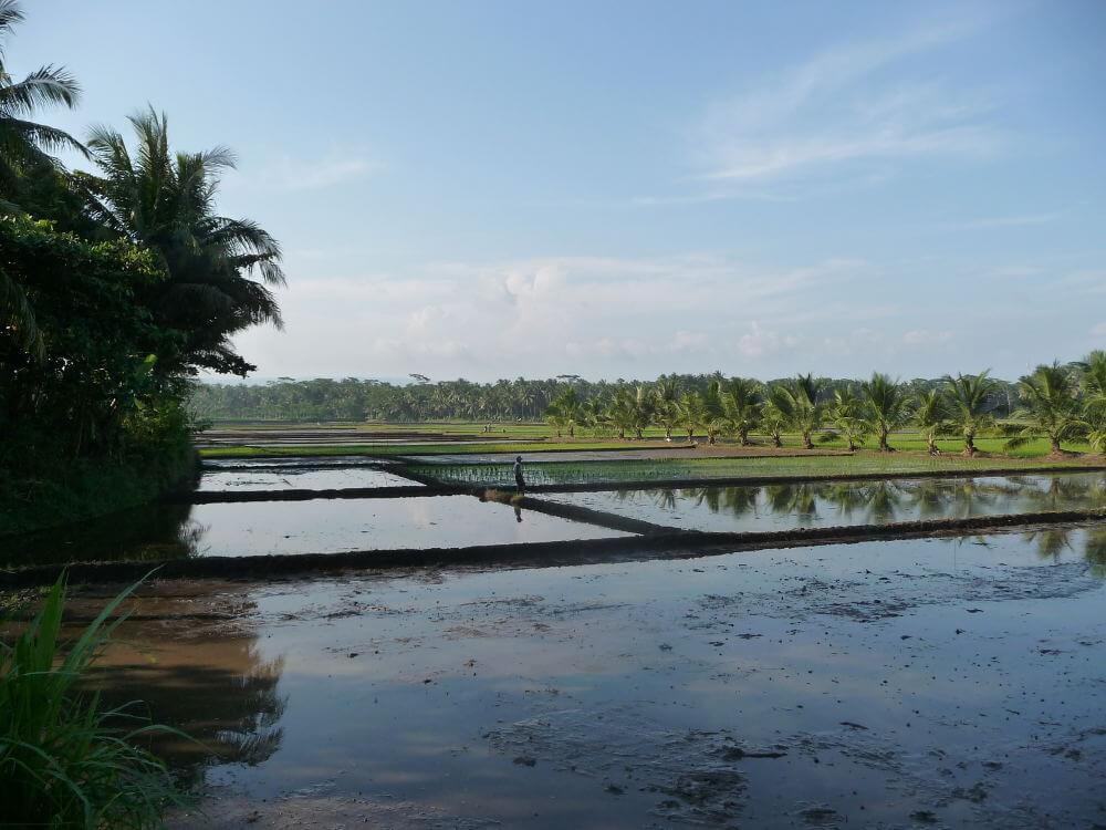 Pangandaran