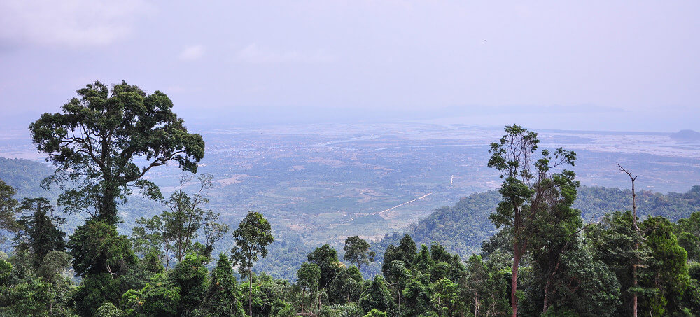 view from mountain
