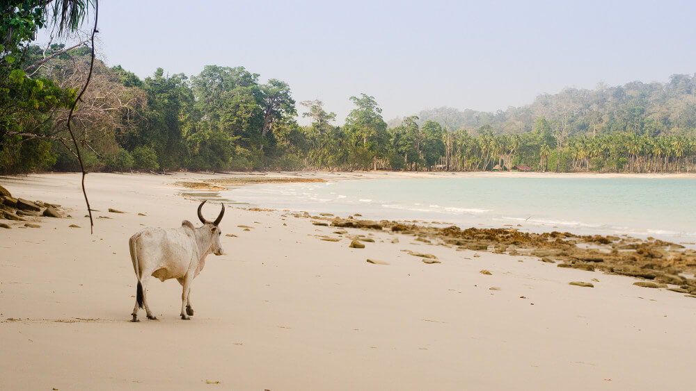 Andaman eilanden
