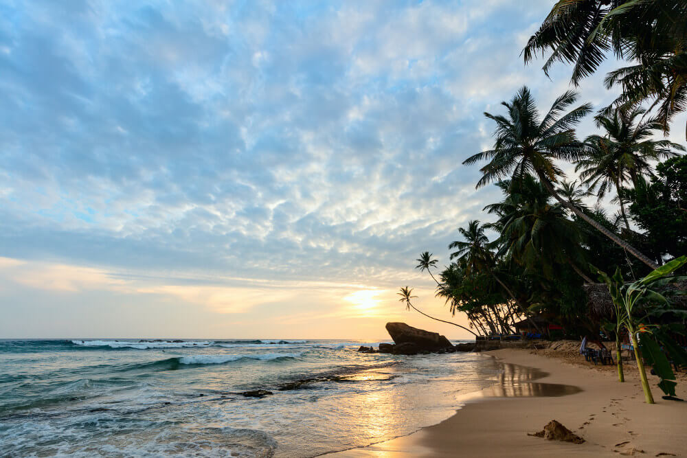 Arugam Bay