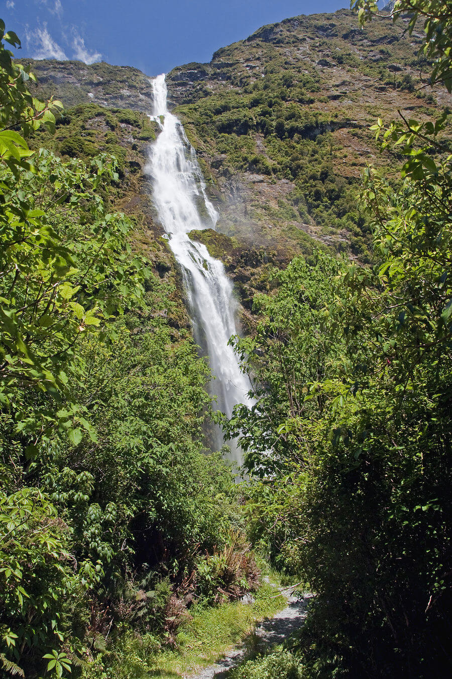 Milford Track