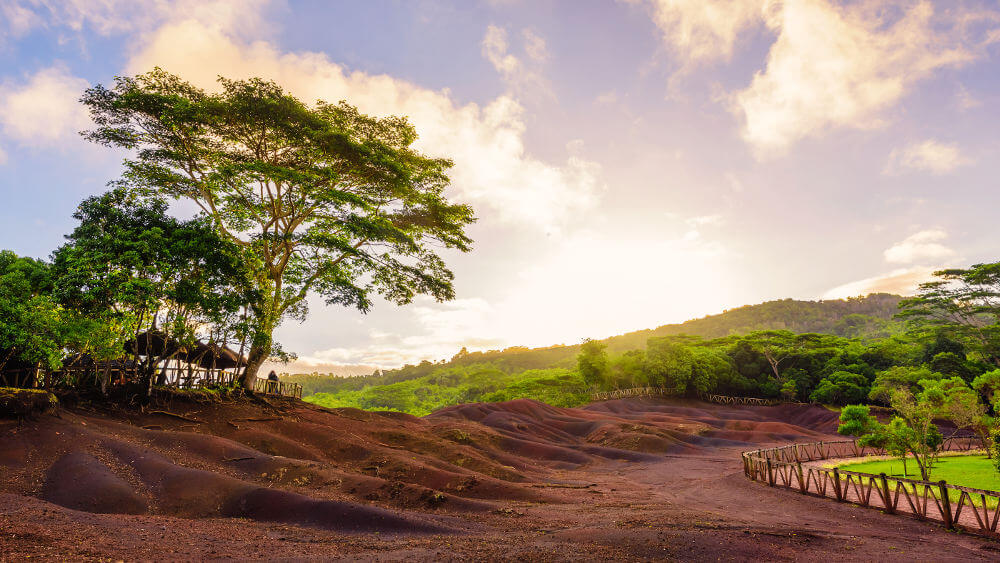 Chamarel