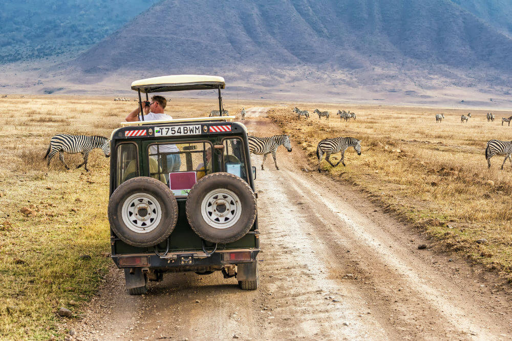 tanzania safari beste tijd