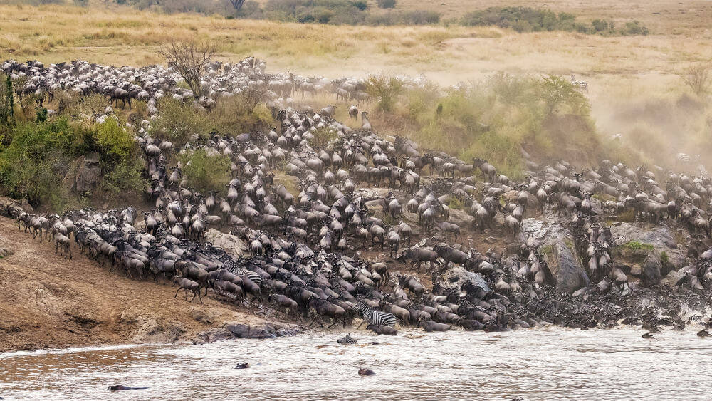 Great Migration