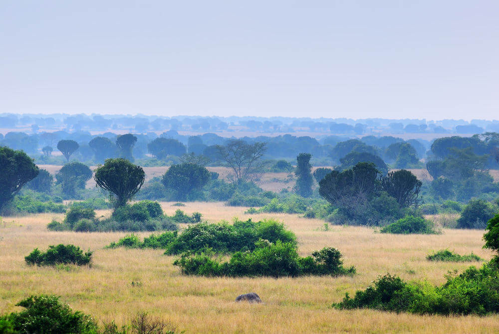 Queen Elizabeth National Park