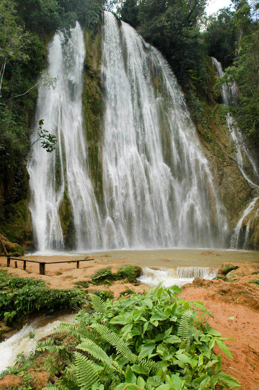 Samana