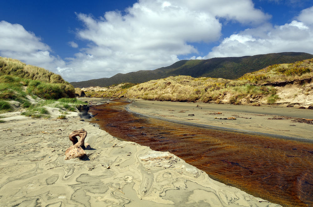 Stewart Island