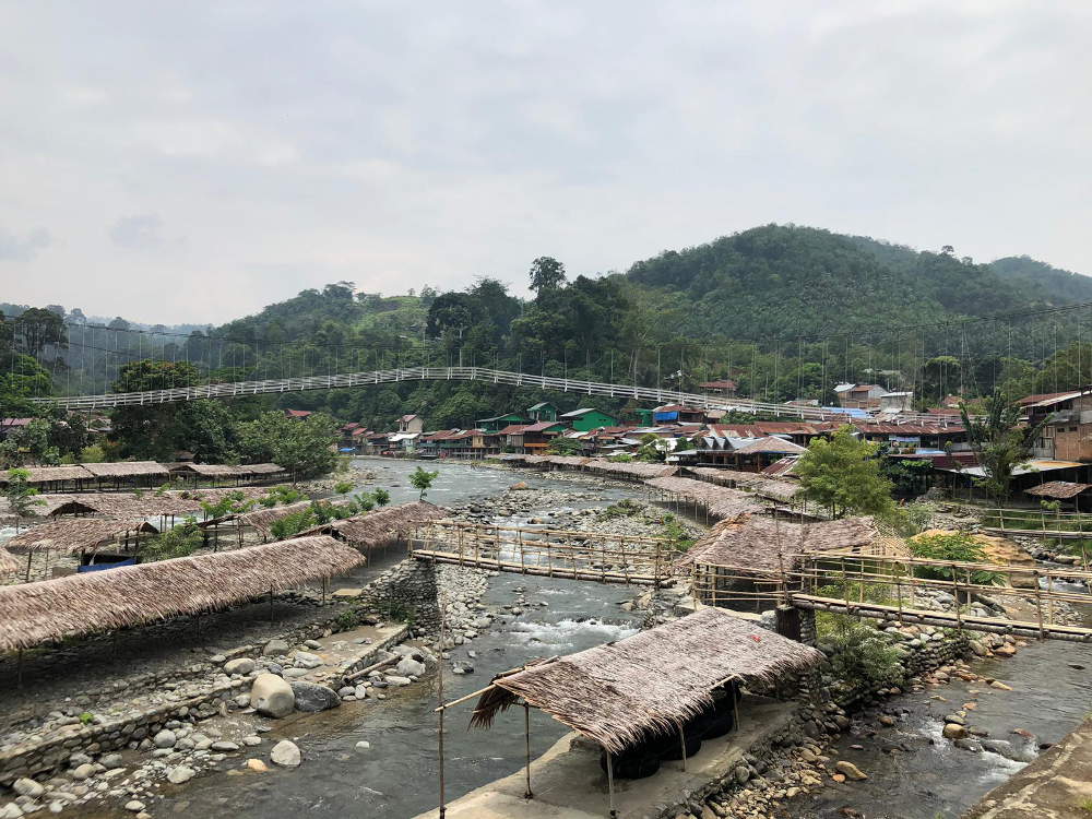 Bukit Lawang