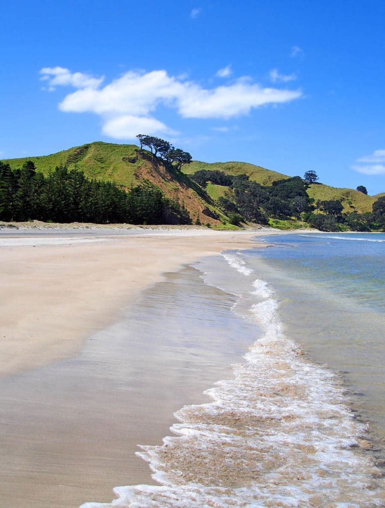 Whangapoua Beach