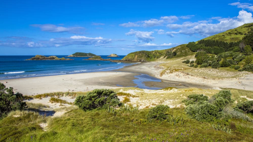 Whangarei