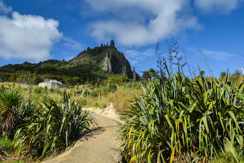 Whangarei