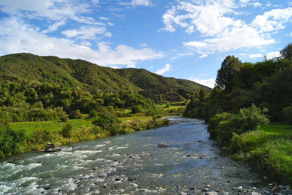 Whangarei