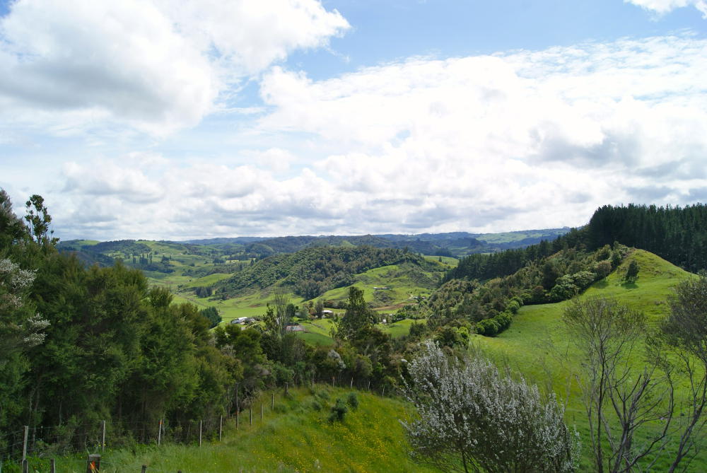 Mount Egmont National Park