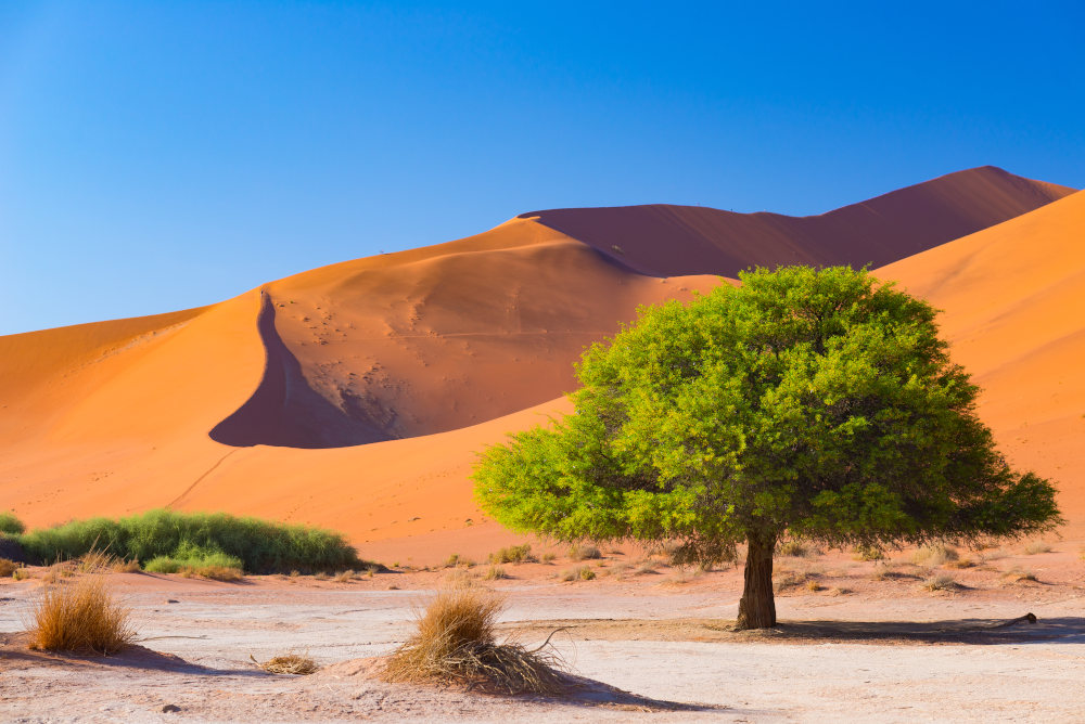 Bezienswaaridhgeden van Namibië