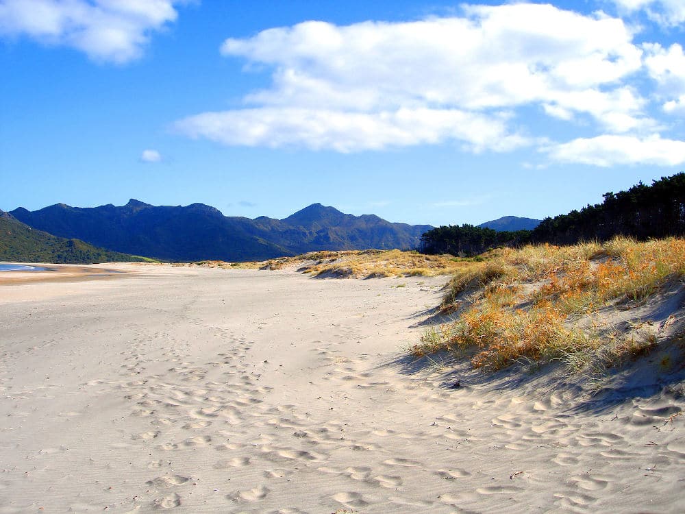 Whangapoua Beach