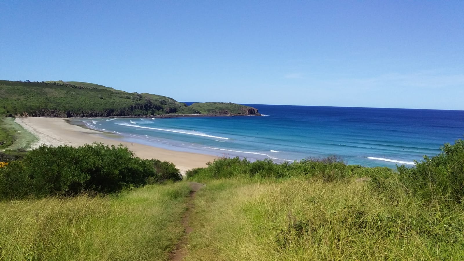 Illawarra