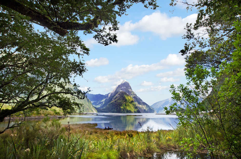 Milford Track