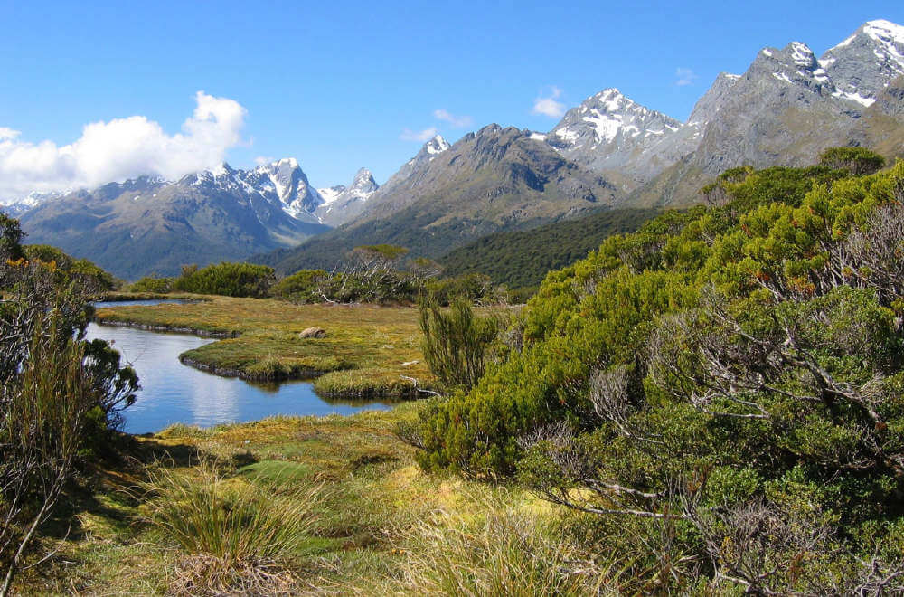 Routeburn Track